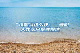 “没想到这么快！”普陀人才落户受理提速