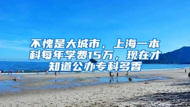 不愧是大城市，上海一本科每年学费15万，现在才知道公办专科多香