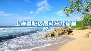 上海普陀区居转户社保基数