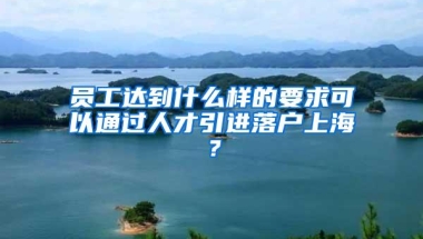 员工达到什么样的要求可以通过人才引进落户上海？