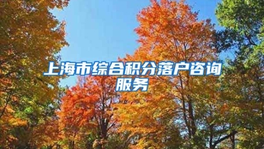 上海市综合积分落户咨询服务