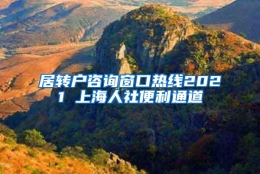 居转户咨询窗口热线2021 上海人社便利通道