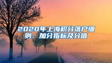 2020年上海积分落户细则：加分指标及分值