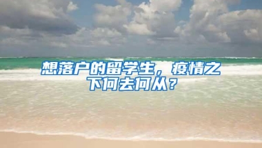 想落户的留学生，疫情之下何去何从？