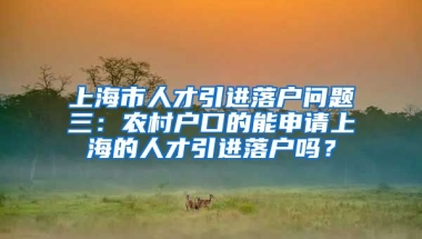 上海市人才引进落户问题三：农村户口的能申请上海的人才引进落户吗？