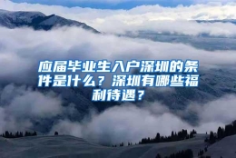 应届毕业生入户深圳的条件是什么？深圳有哪些福利待遇？