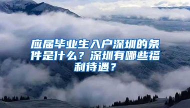 应届毕业生入户深圳的条件是什么？深圳有哪些福利待遇？