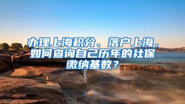 办理上海积分、落户上海，如何查询自己历年的社保缴纳基数？