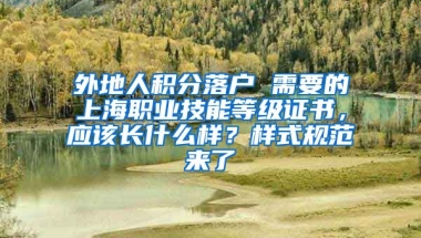 外地人积分落户 需要的上海职业技能等级证书，应该长什么样？样式规范来了→