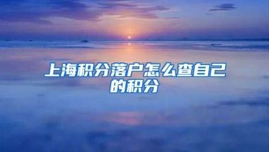 上海积分落户怎么查自己的积分