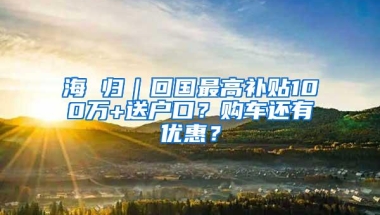 海 归｜回国最高补贴100万+送户口？购车还有优惠？