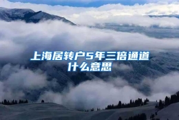 上海居转户5年三倍通道什么意思