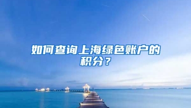 如何查询上海绿色账户的积分？