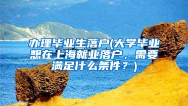 办理毕业生落户(大学毕业想在上海就业落户，需要满足什么条件？)