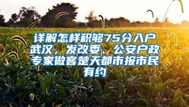 详解怎样积够75分入户武汉，发改委、公安户政专家做客楚天都市报市民有约