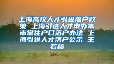 上海高校人才引进落户政策 上海引进人才申办本市常住户口落户办法 上海引进人才落户公示 王若杨