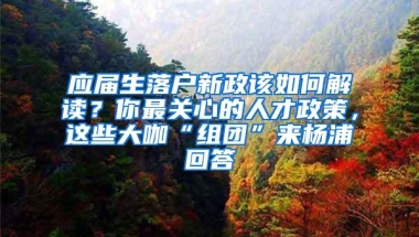 应届生落户新政该如何解读？你最关心的人才政策，这些大咖“组团”来杨浦回答