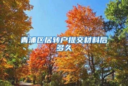 青浦区居转户提交材料后多久