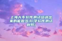 上海大专软件测试培训出来的能做多久(学软件测试利弊)