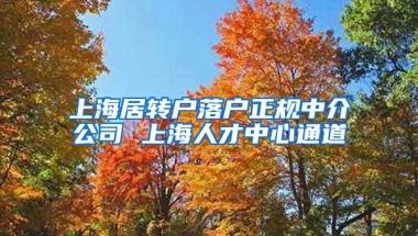 上海居转户落户正规中介公司 上海人才中心通道