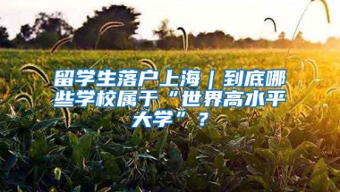 留学生落户上海｜到底哪些学校属于“世界高水平大学”？