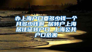 办上海户口要多少钱一个月多少钱啊 居转户上海居住证转户口 上海公共户口危害