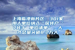 上海临港新片区：301家用人单位纳入“居转户‘7转3’单位清单”，人才总量突破8.2万人