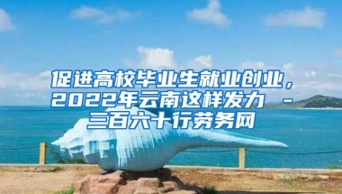 促进高校毕业生就业创业，2022年云南这样发力→－三百六十行劳务网