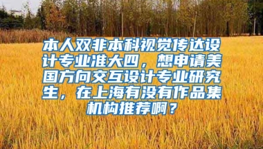 本人双非本科视觉传达设计专业准大四，想申请美国方向交互设计专业研究生，在上海有没有作品集机构推荐啊？