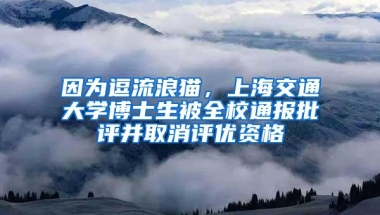 因为逗流浪猫，上海交通大学博士生被全校通报批评并取消评优资格