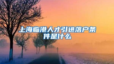 上海临港人才引进落户条件是什么