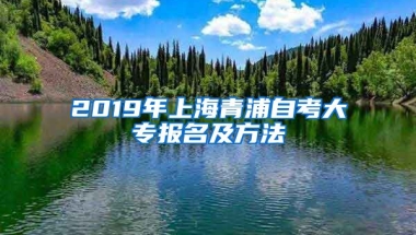 2019年上海青浦自考大专报名及方法