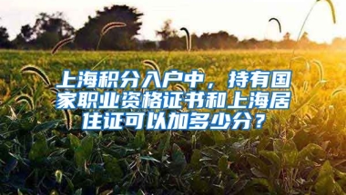 上海积分入户中，持有国家职业资格证书和上海居住证可以加多少分？