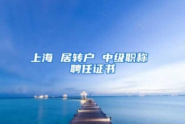 上海 居转户 中级职称 聘任证书