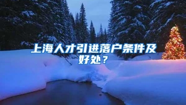 上海人才引进落户条件及好处？