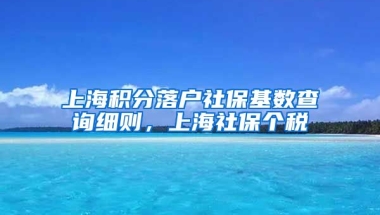 上海积分落户社保基数查询细则，上海社保个税