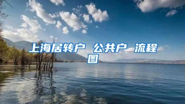 上海居转户 公共户 流程图