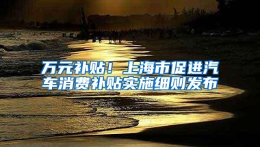 万元补贴！上海市促进汽车消费补贴实施细则发布