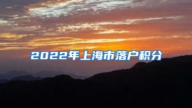 2022年上海市落户积分