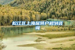 松江区上海居转户规划咨询