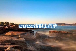 2022本科上线率