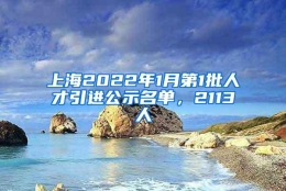 上海2022年1月第1批人才引进公示名单，2113人