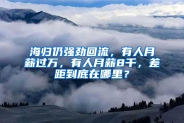 海归仍强劲回流，有人月薪过万，有人月薪8千，差距到底在哪里？