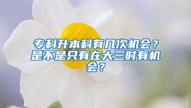 专科升本科有几次机会？是不是只有在大三时有机会？