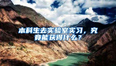 本科生去实验室实习，究竟能获得什么？