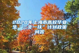 2020年上海市高校毕业生“三支一扶”计划政策问答