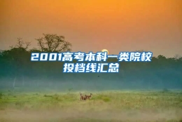 2001高考本科一类院校投档线汇总