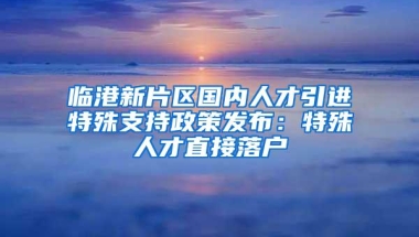 临港新片区国内人才引进特殊支持政策发布：特殊人才直接落户