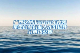 广西钦州市2018年度领军型创新创业人才引进计划申报公告