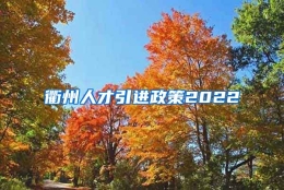 衢州人才引进政策2022